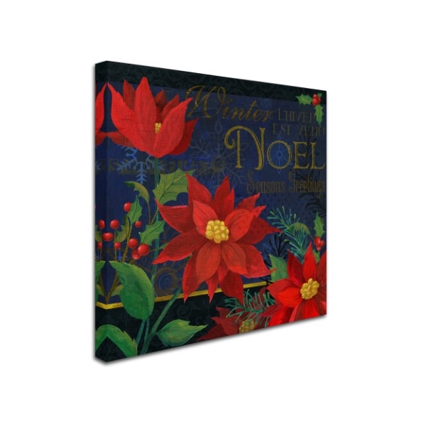 Fiona Stokes-Gilbert 'Noel' Canvas Art,35x35